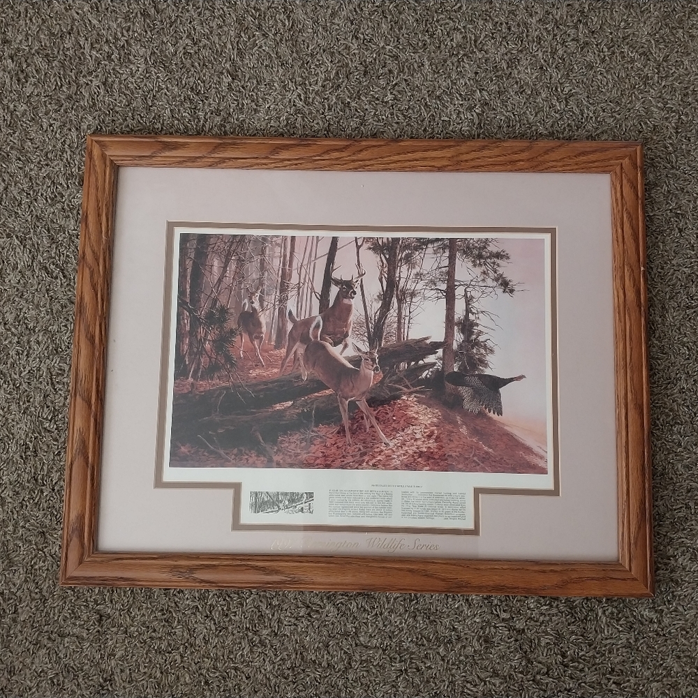 1997 wildlife photo